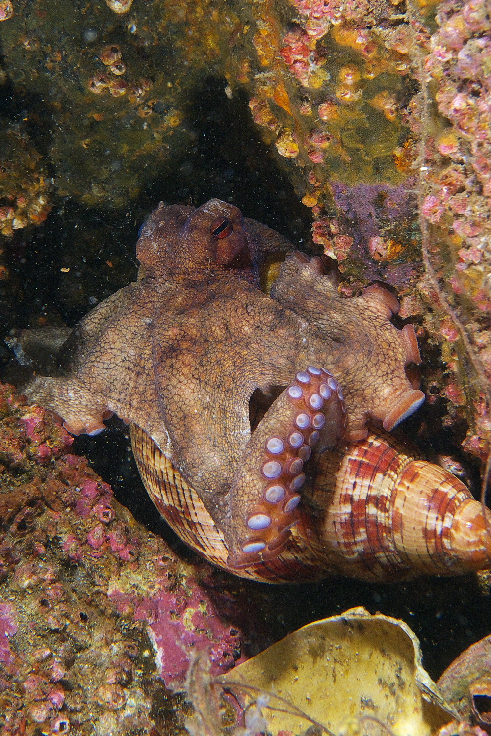 octo_2011_06_41