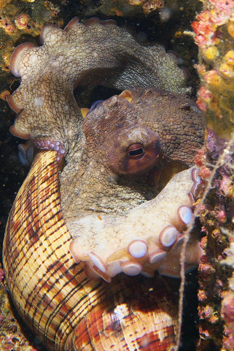 octo_2011_06_45
