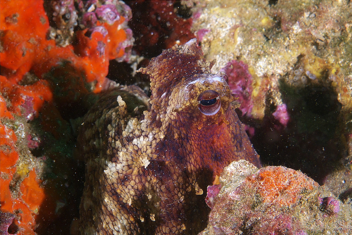 Octo_2011_06_60