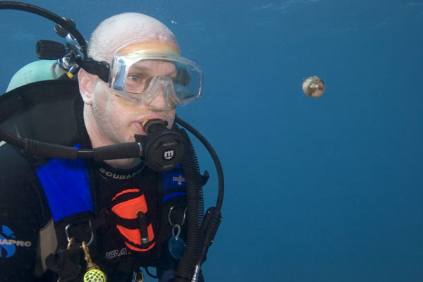 Odd-ball on Molasses Reef