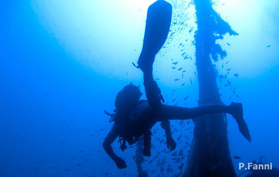 Ogliastra wrecks