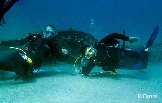 Ogliastra wrecks