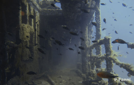 Ogliastra wrecks