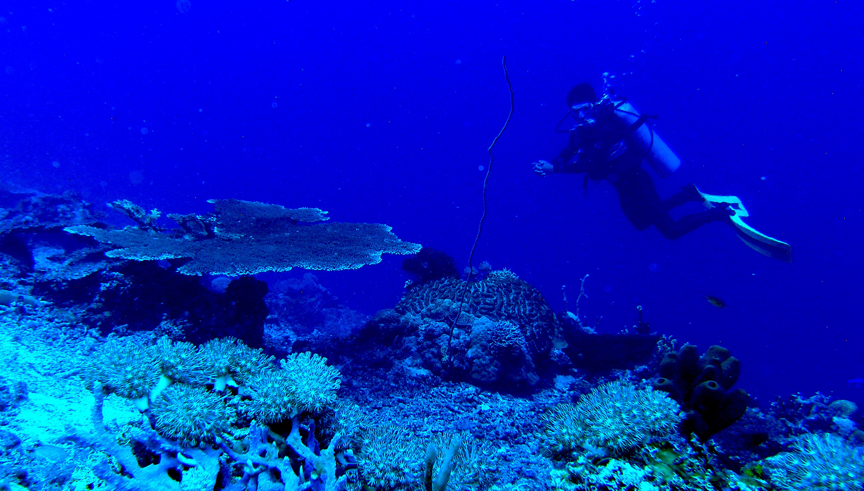 Oli_with Table_Coral_Nasuluan