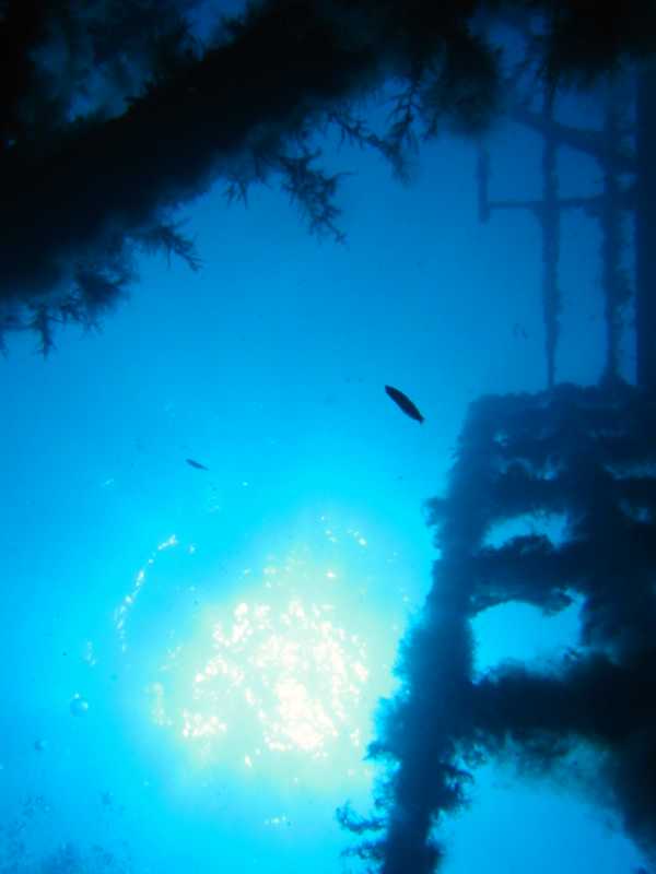 on the deck of the Zenobia