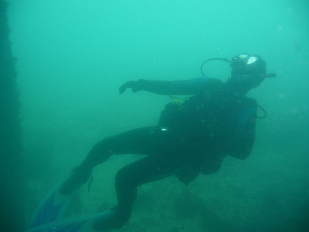 One of my buddies at Portsea Pier