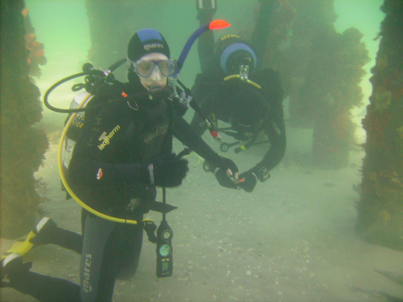 Open water dives on my open water course