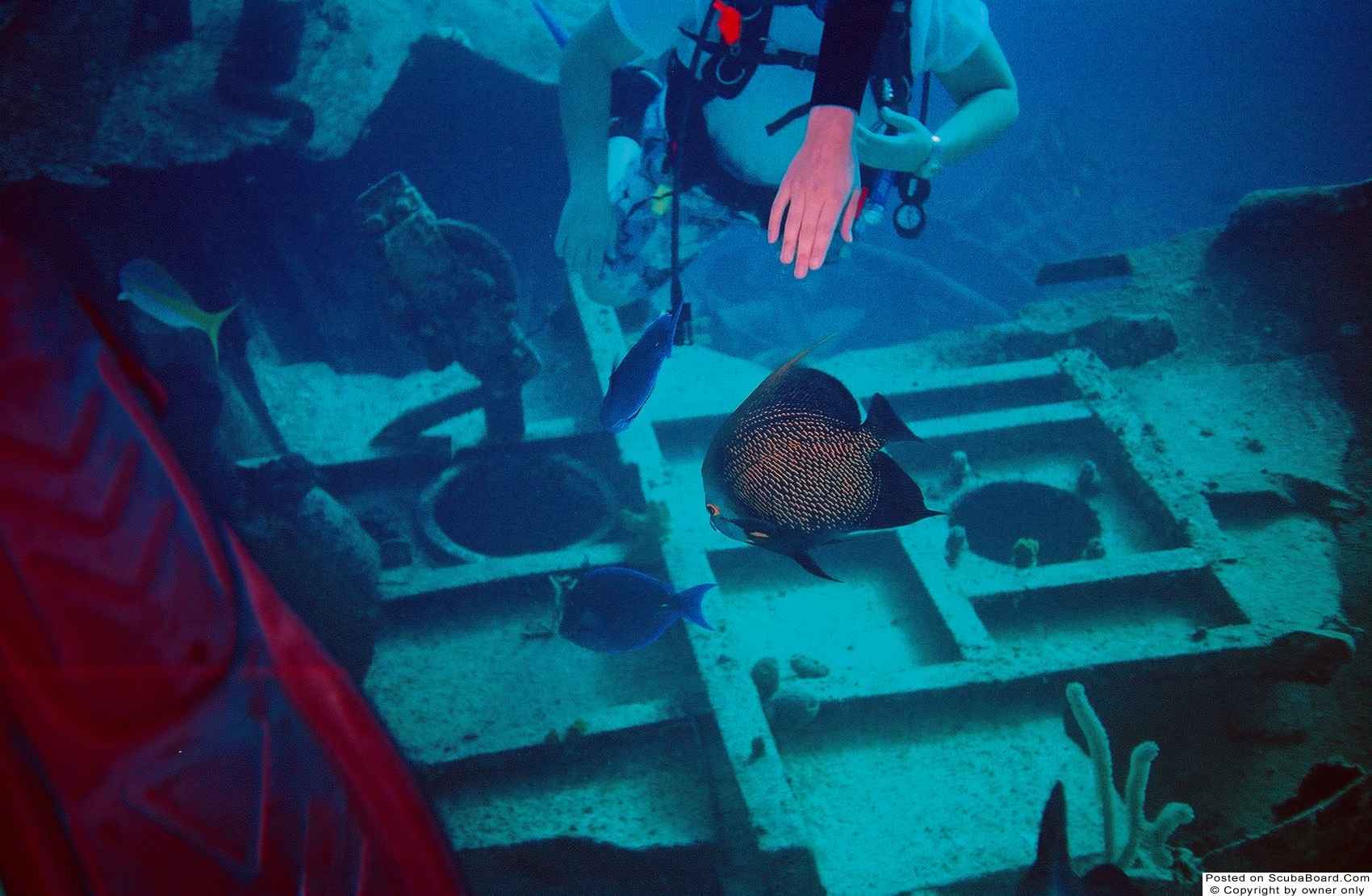 Oro Verde Wreck Grand Cayman