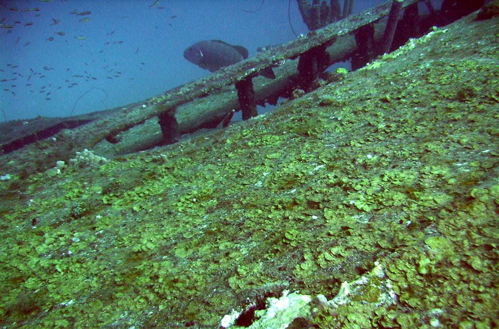 Over the rail of the wreck