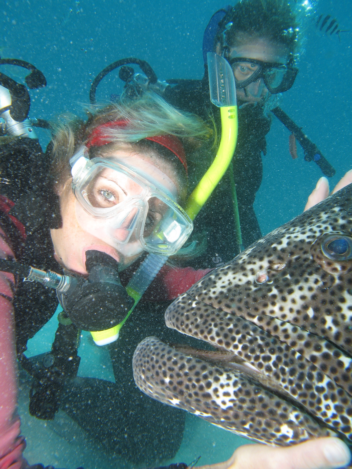 Oz Great Barrier Reef