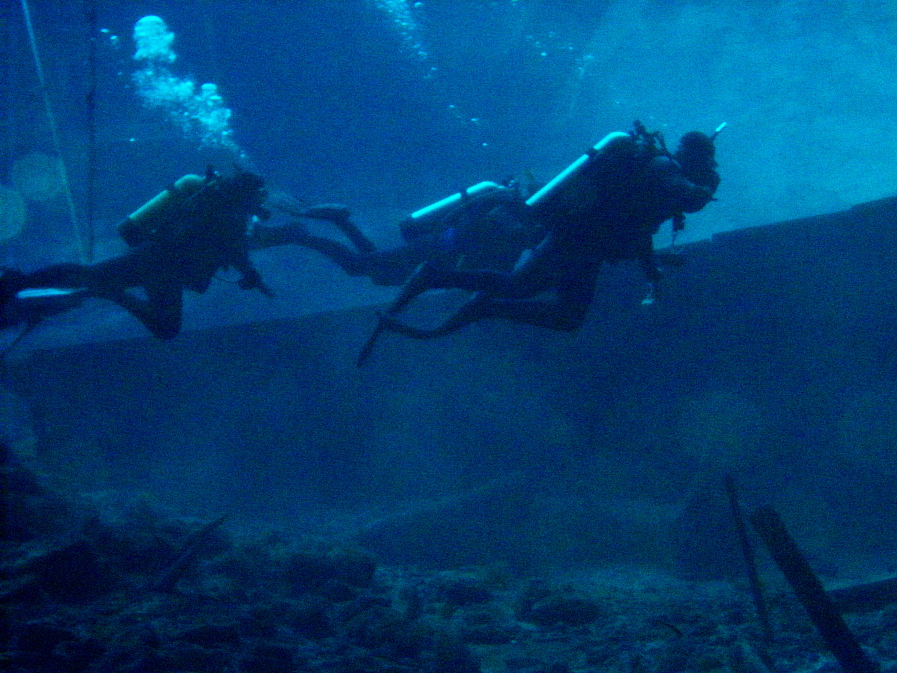 P1210038