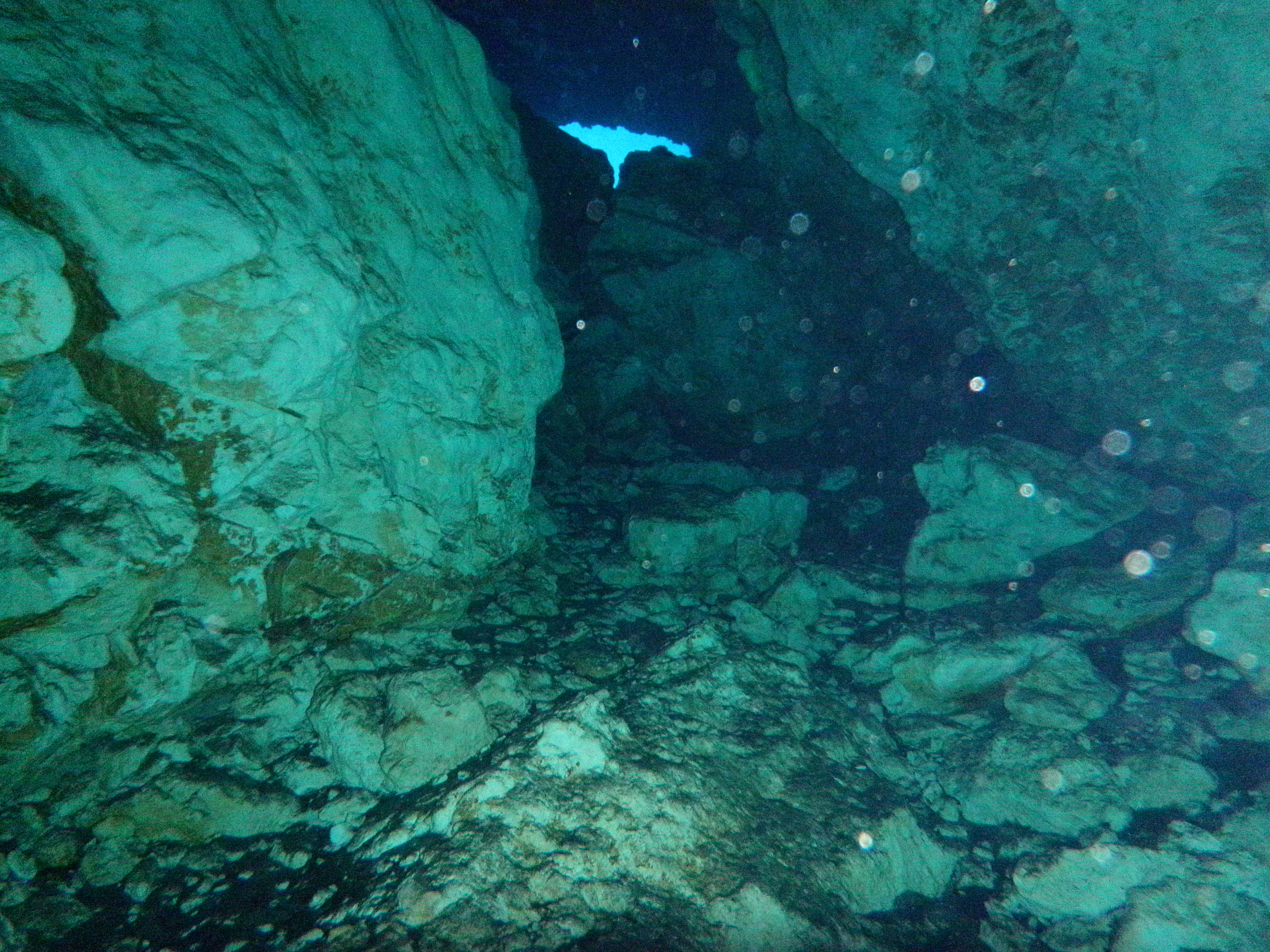 P1210046