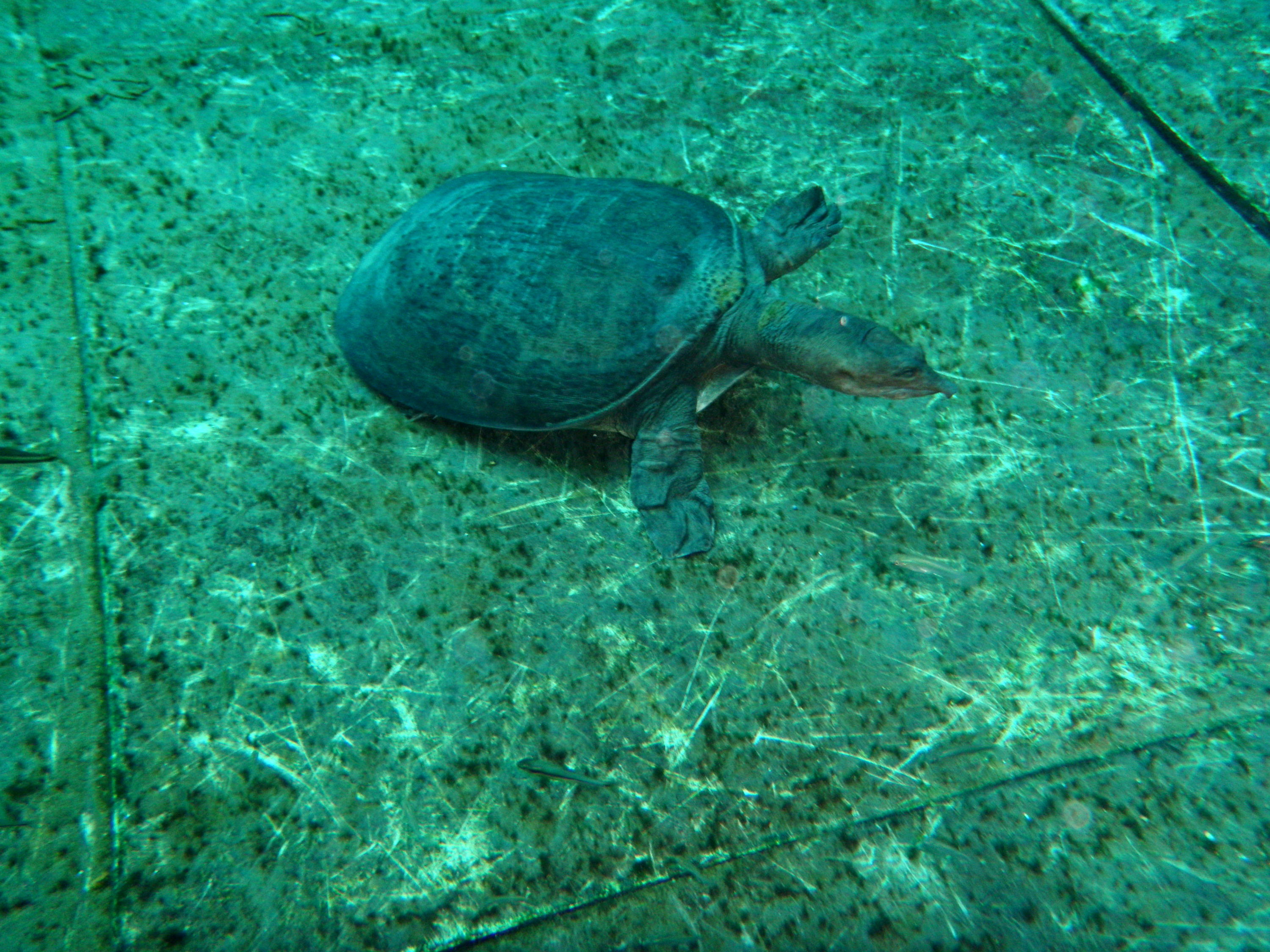 P1210054