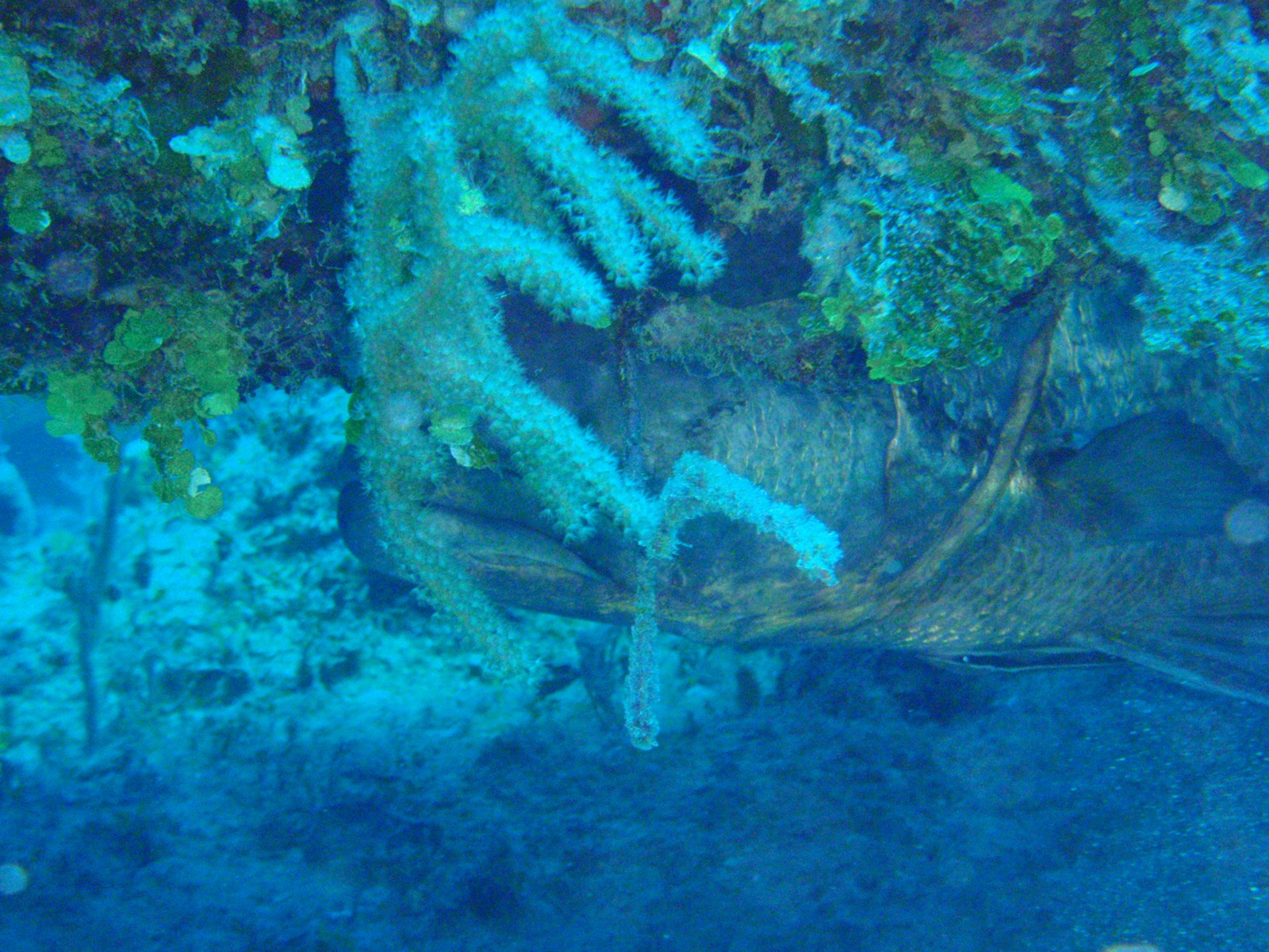 P2280146