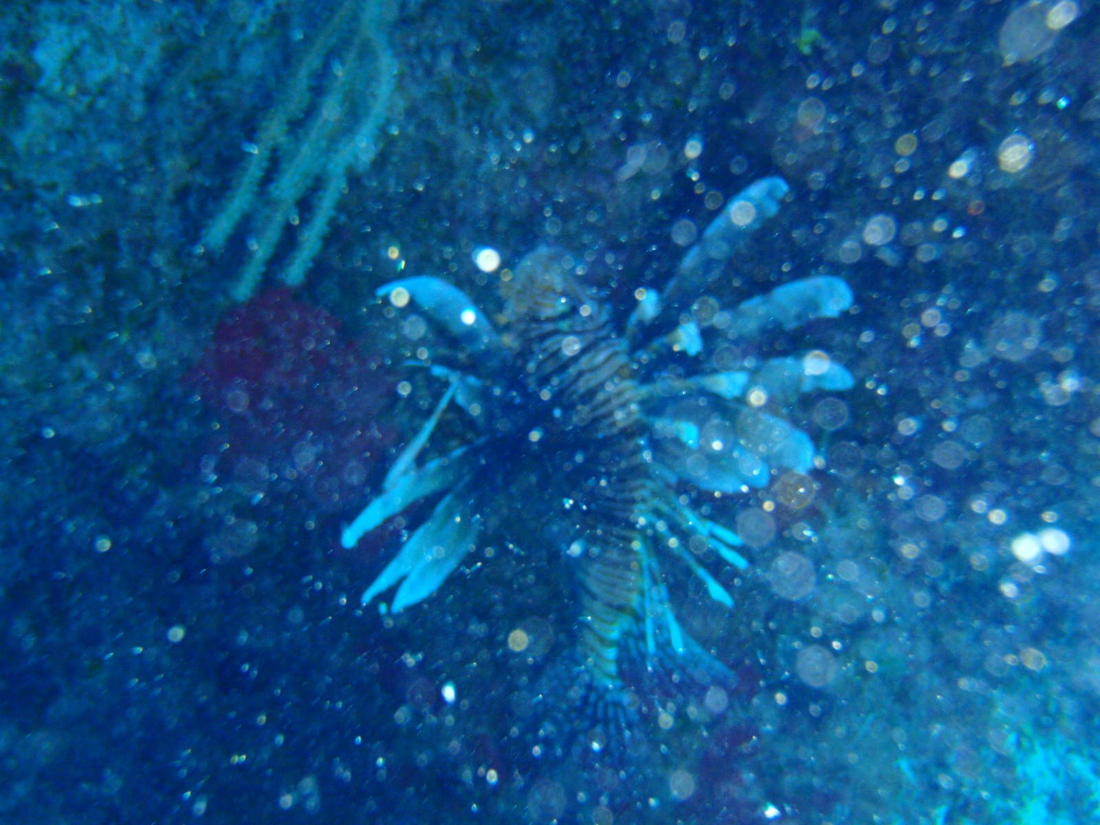 P2280155