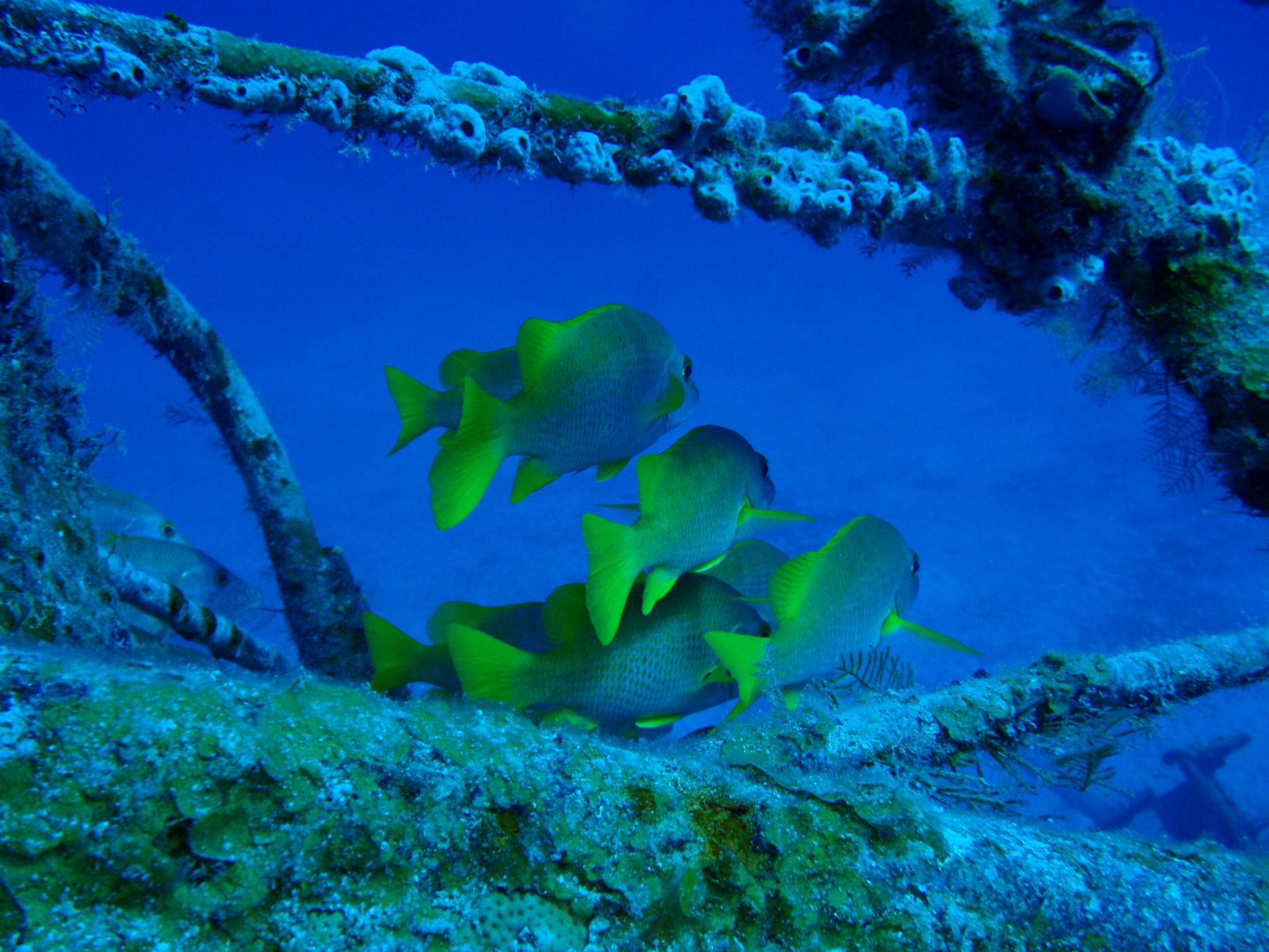 P3010181