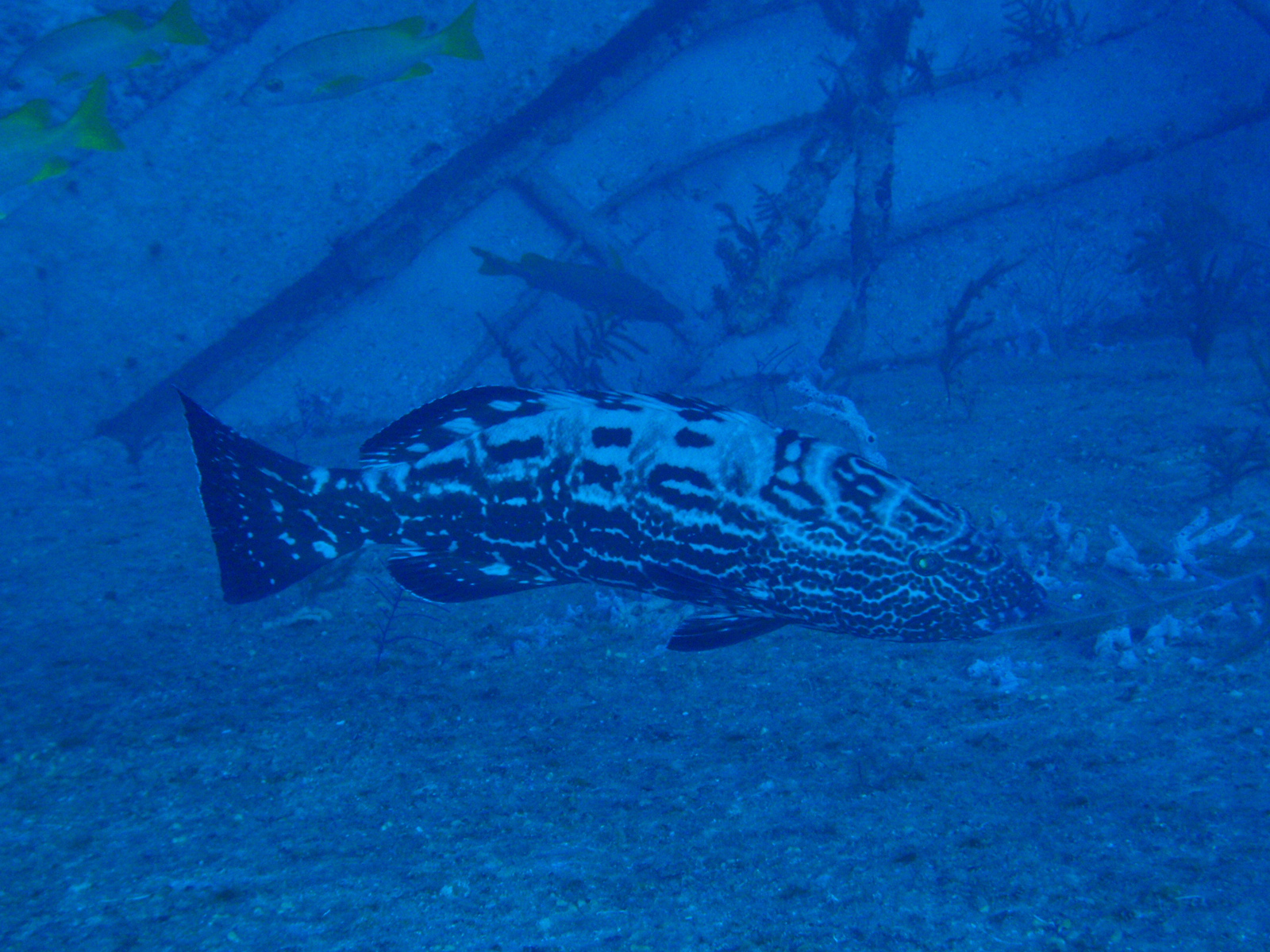 P3010186
