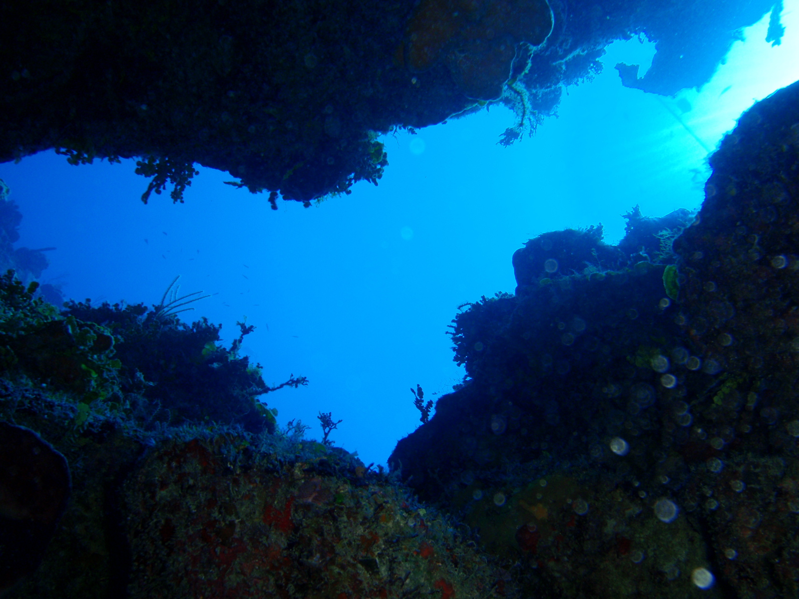 P3010198