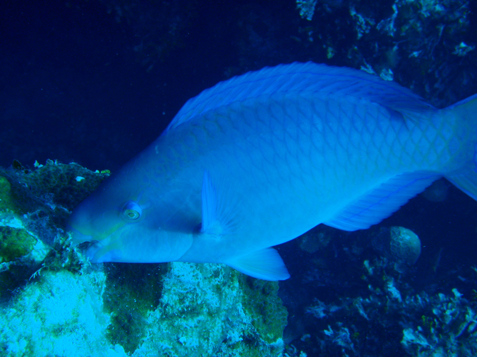 P3010203