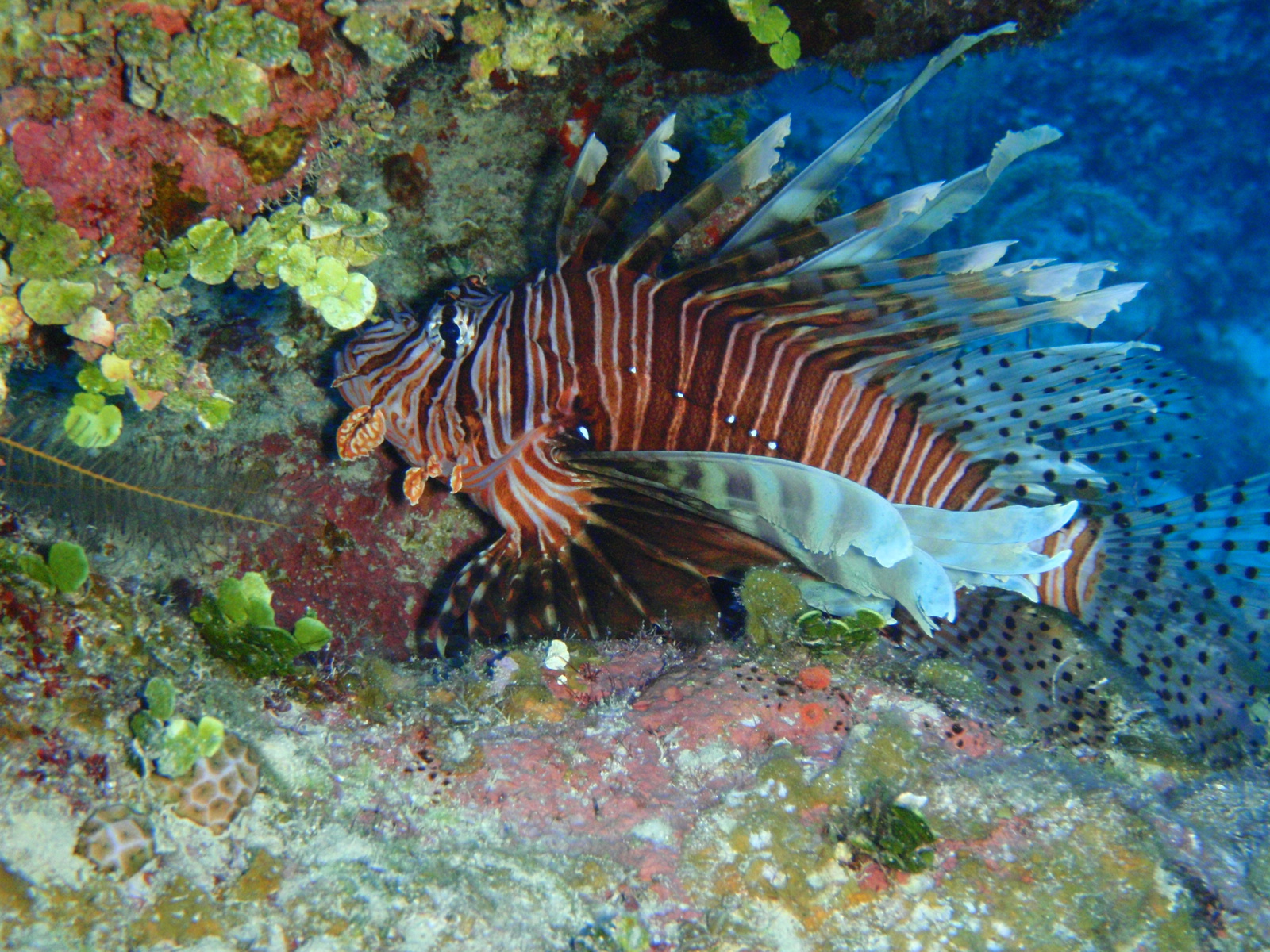 P3010215