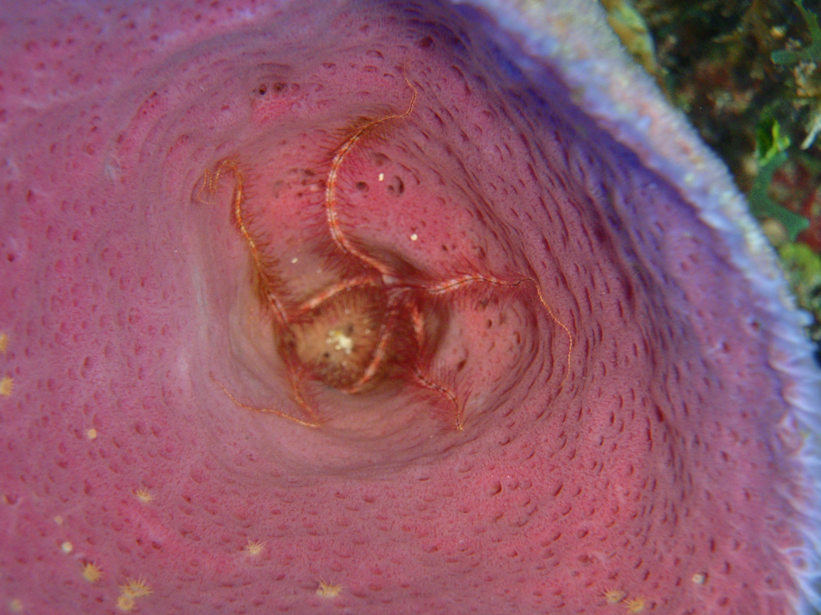 P3010218