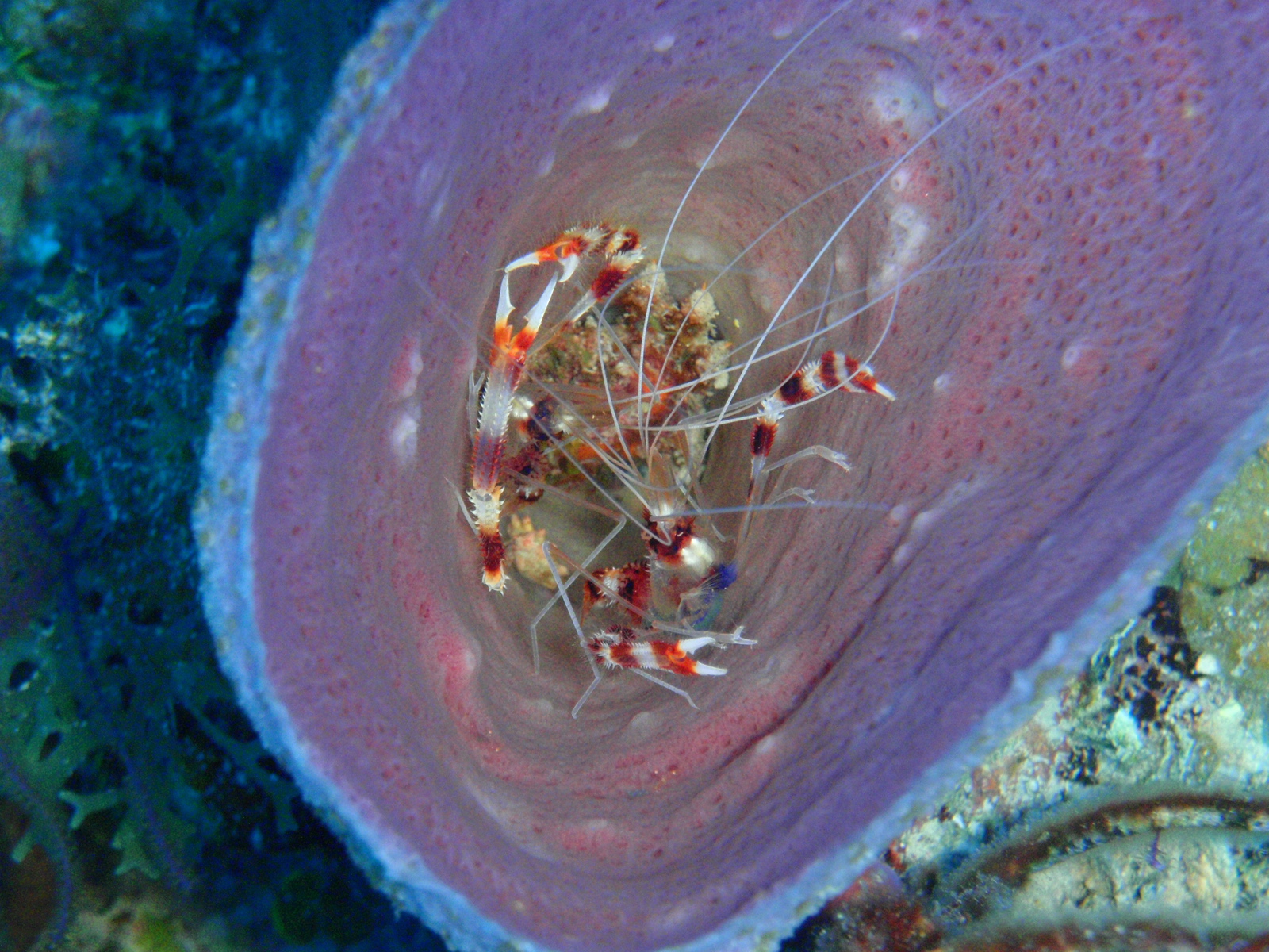 P3010221