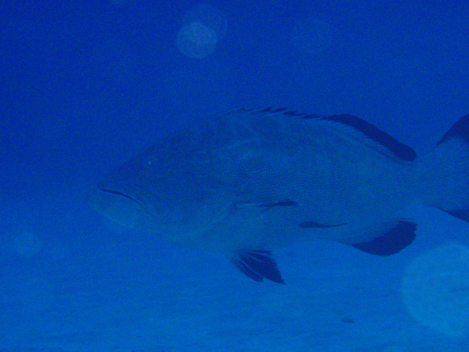 P3010231