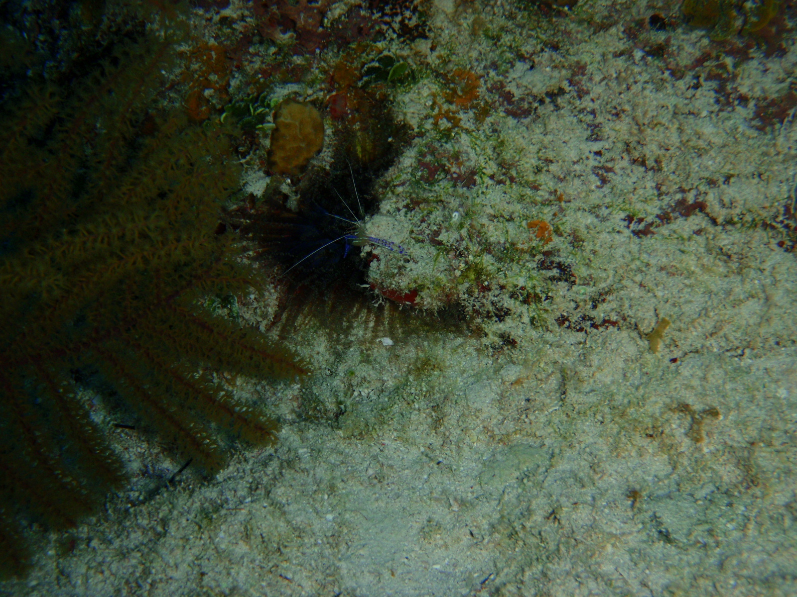 P3010235