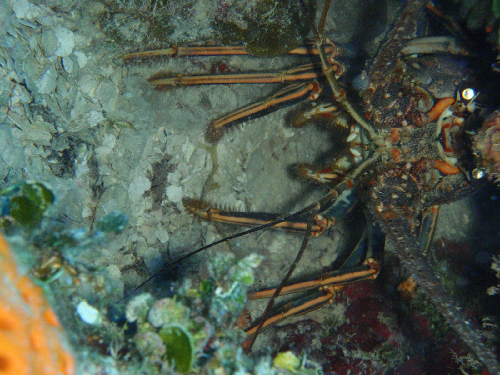 P3040265
