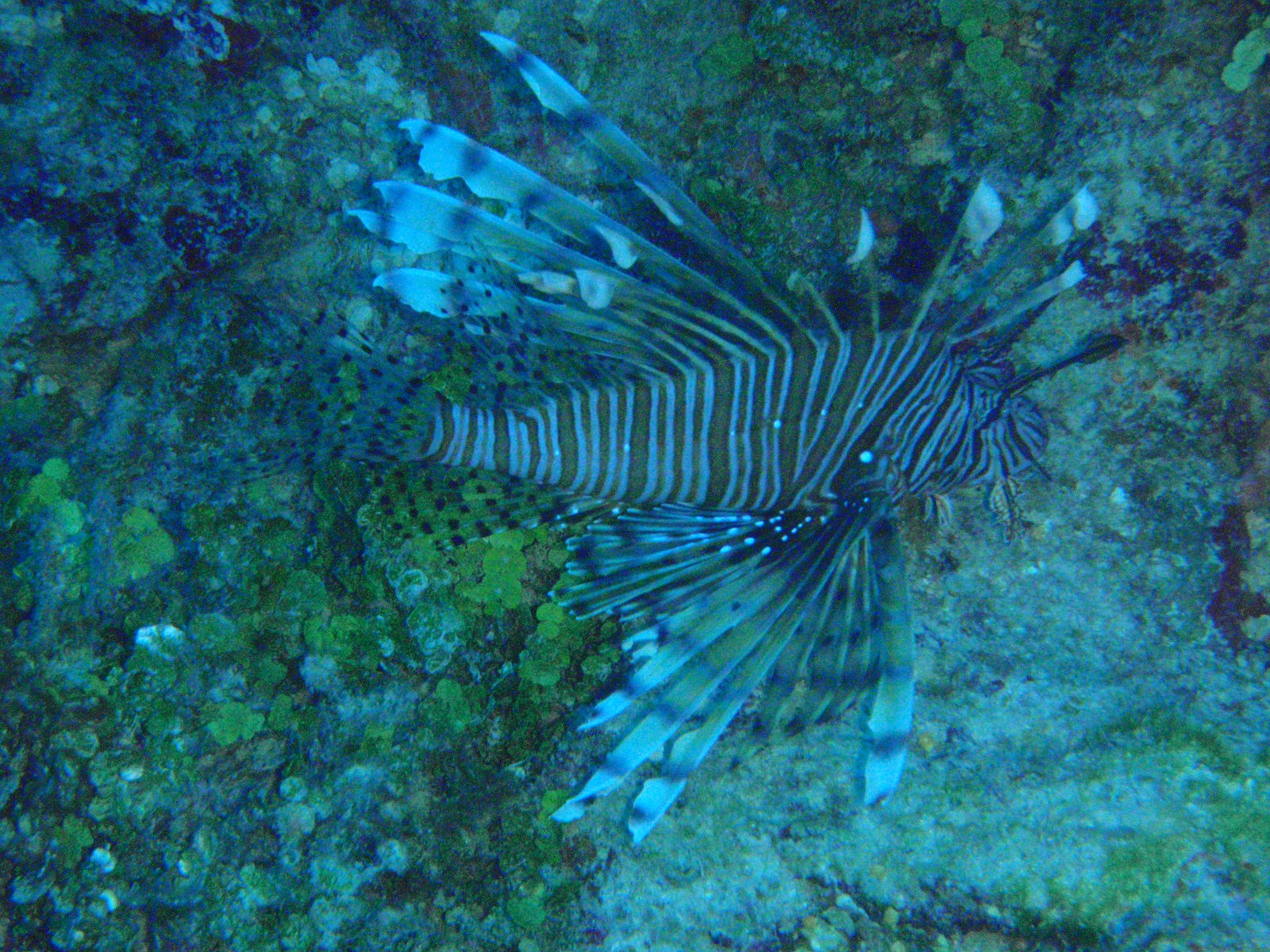 P3040267