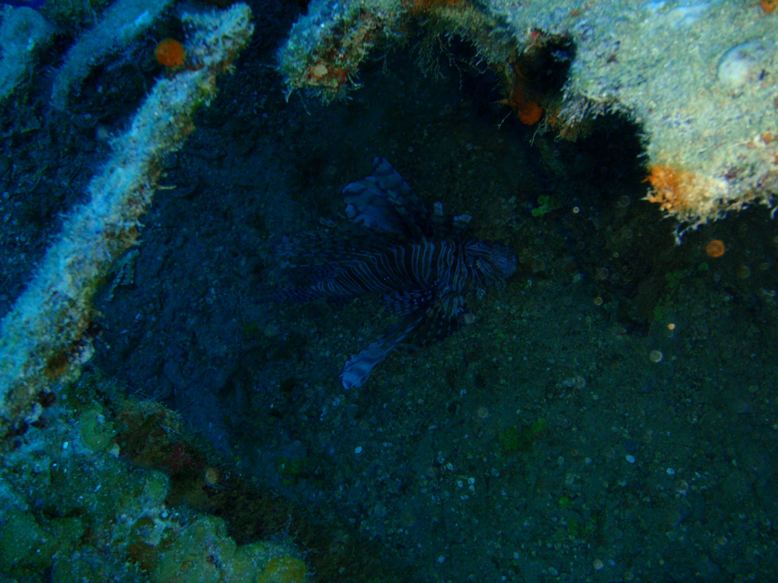 P3040270