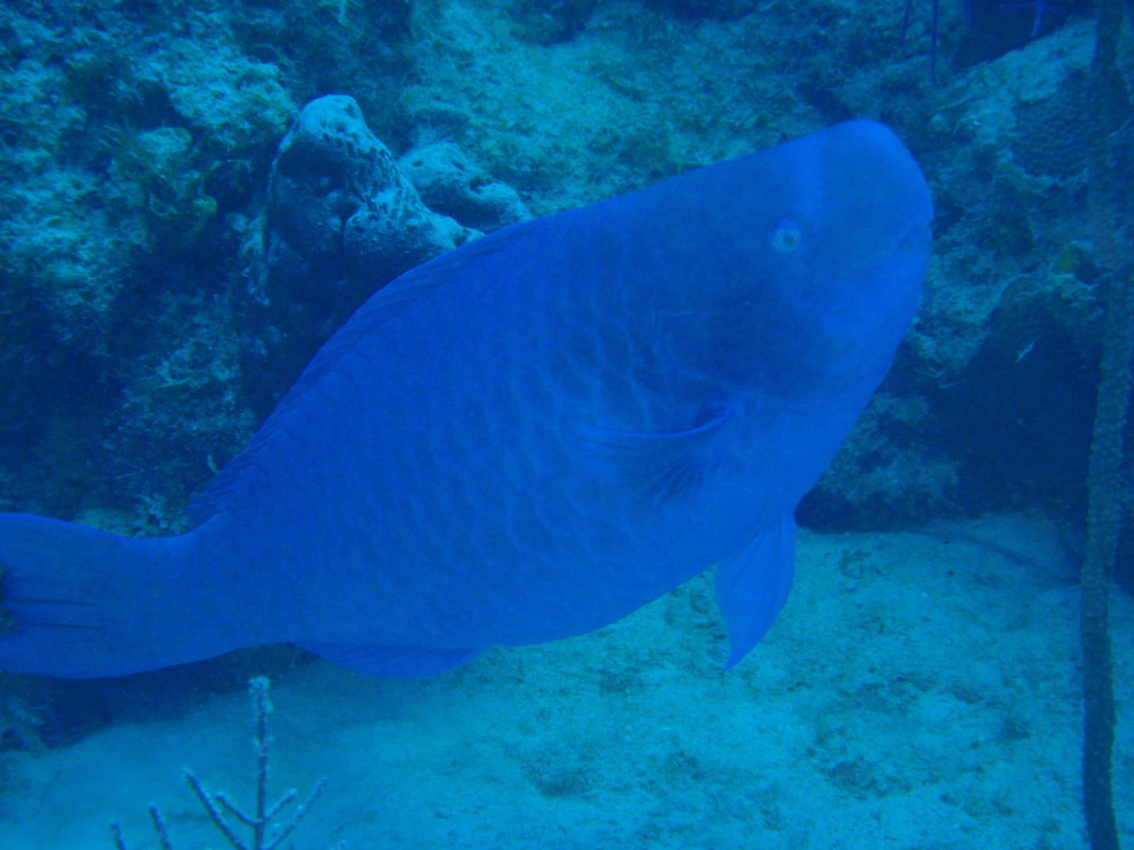 P3040277