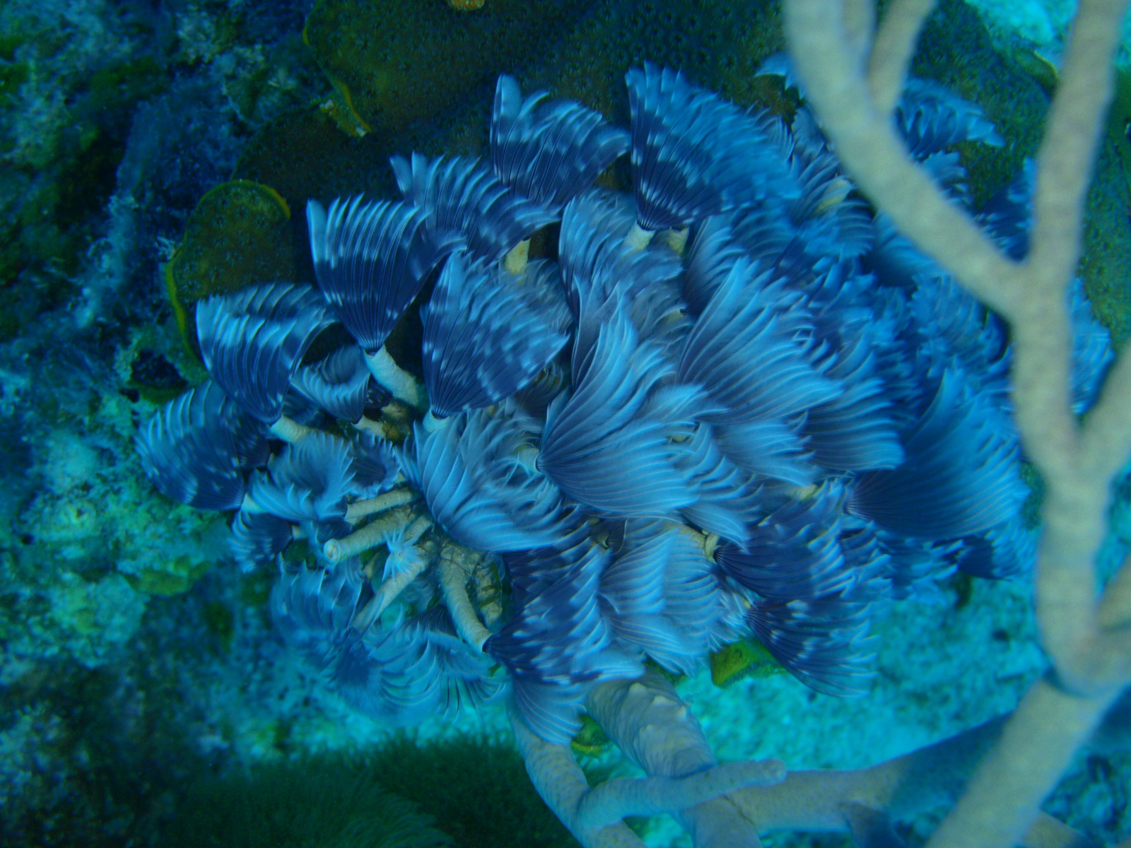 P3040288