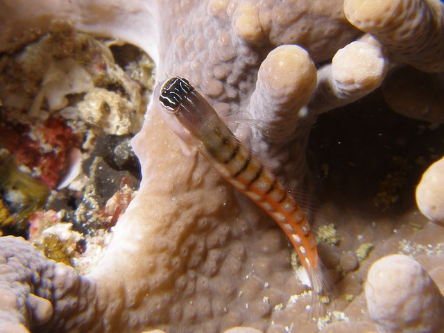 P6110023