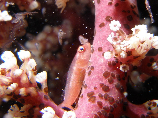 P6110050