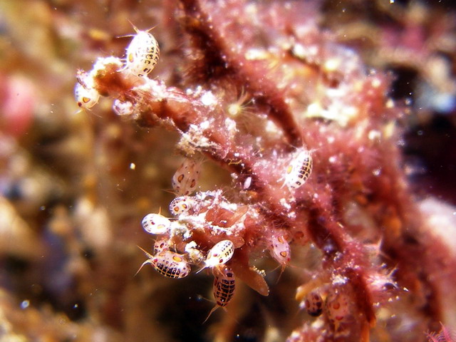 P6110052
