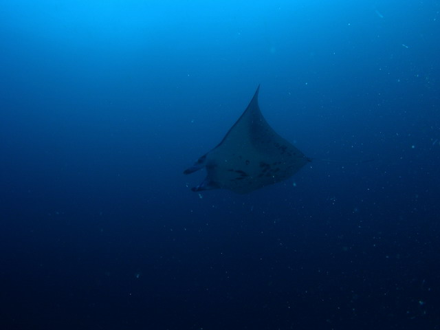 P6120006