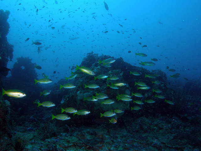 P6120009