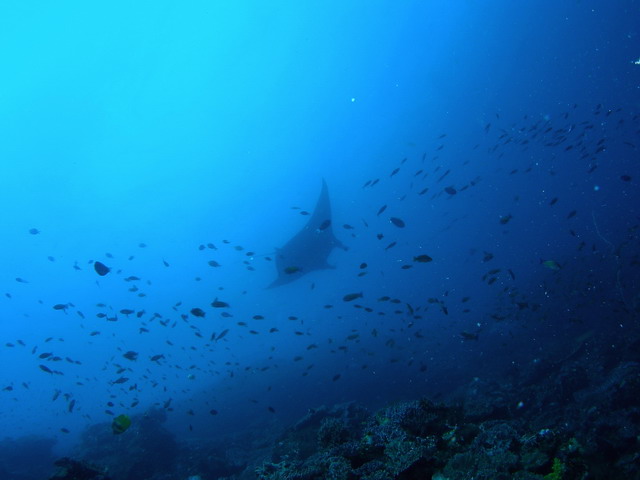 P6120013