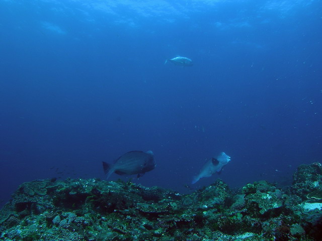 P6120029