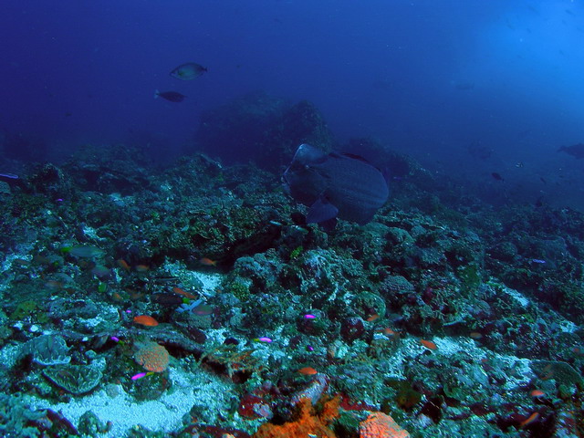 P6120030