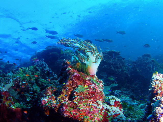 P6120090