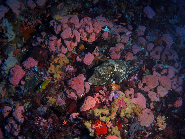 P6130006
