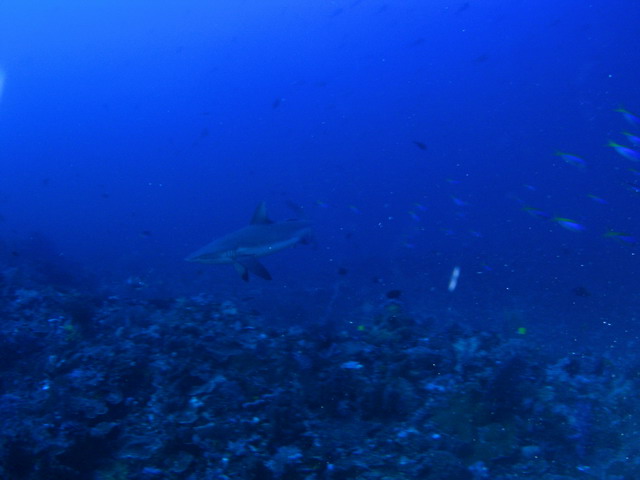 P6130047