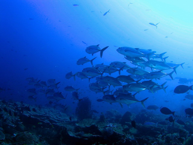 P6130067