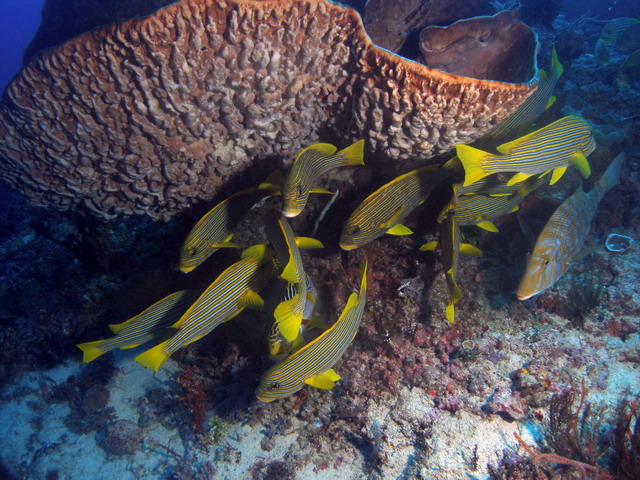 P6130088