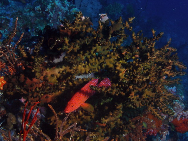 P6130093