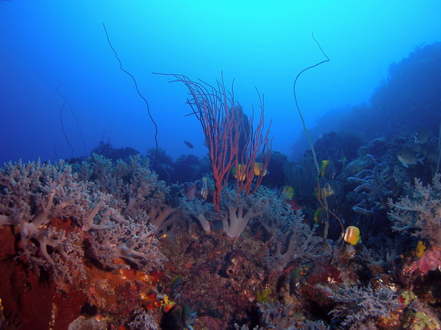 P6130094