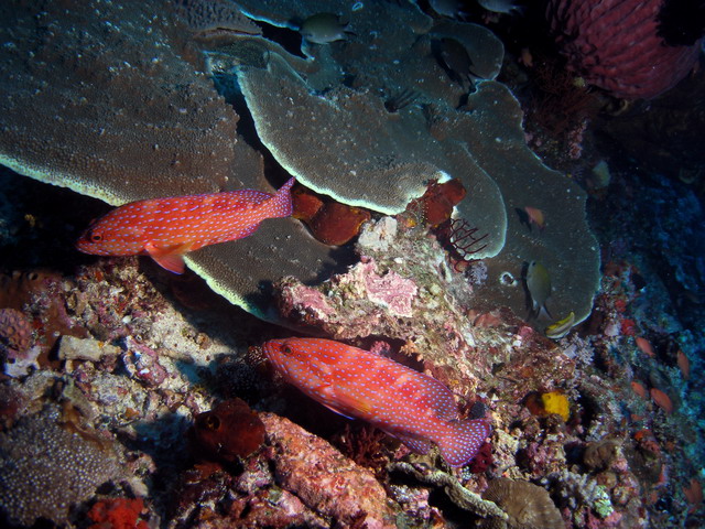 P6130103