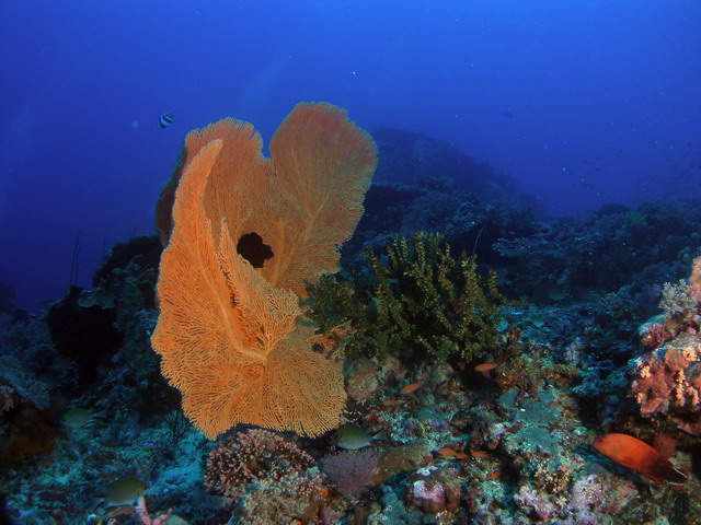 P6130104